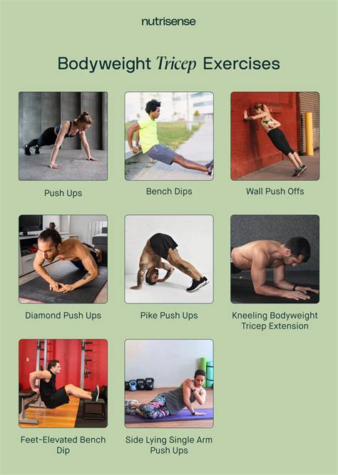Best Bodyweight Exercises For Biceps And Triceps Nutrisense Journal
