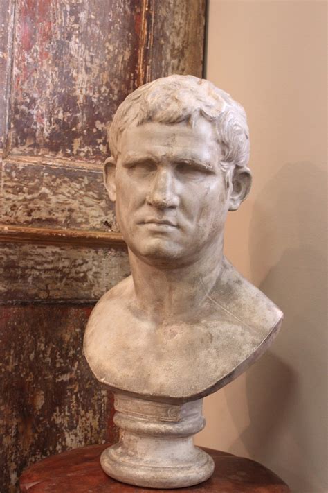 19th Century Plaster Bust Of Agrippa Gesso Statues And