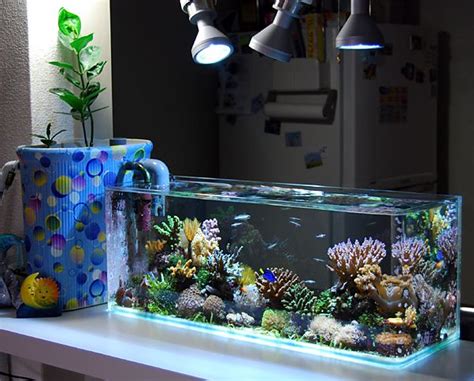 Aquarium Dans Le Salon En Plus De 103 Idées Magnifiques Aquarium