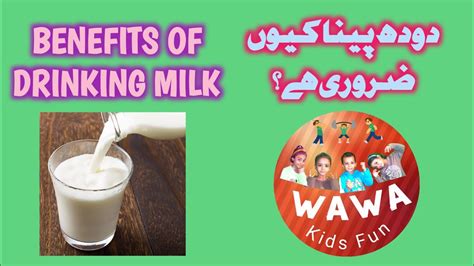 Benefits Of Drinking Milk How Much Milk Is Necessary For Us Wawa