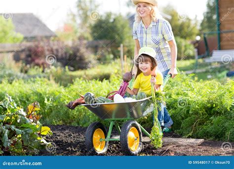 Gardener Woman Pushing Wheelbarrow With Kid Stock Image Image Of Fall