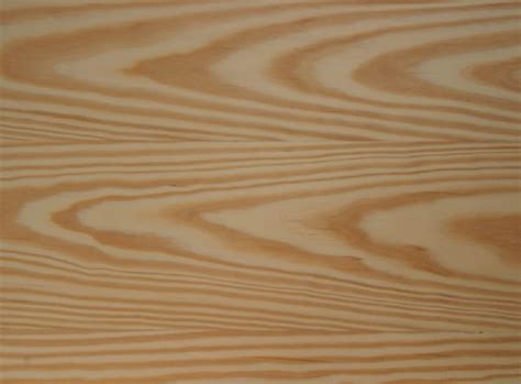 Pine Wood Pine Wood Grain Pattern