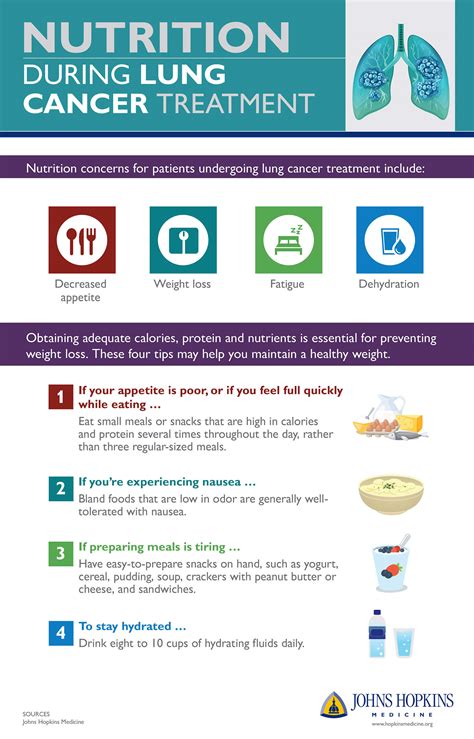 nutrition during lung cancer treatment infographic johns hopkins medicine