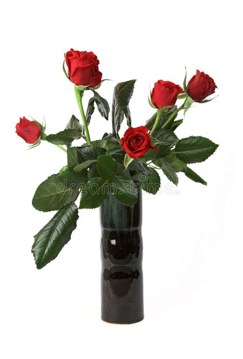 Bunch Of Red Roses Stock Photo Image Of Dark Celebration 12663980
