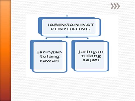 Disusun Oleh Tri Hesti Prihatini Kompetensi Dasar Indikator