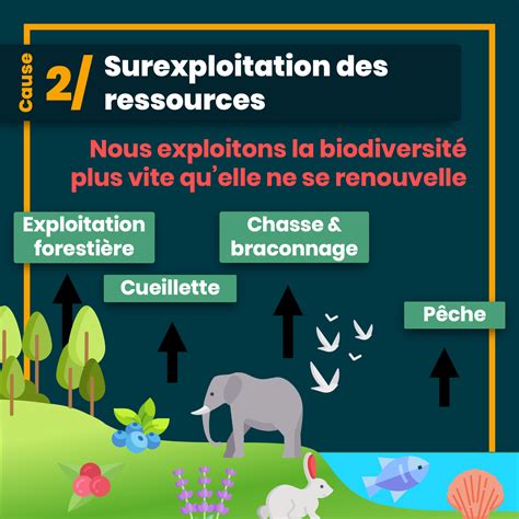 Les 5 Causes Du Déclin De La Biodiversité Liglou