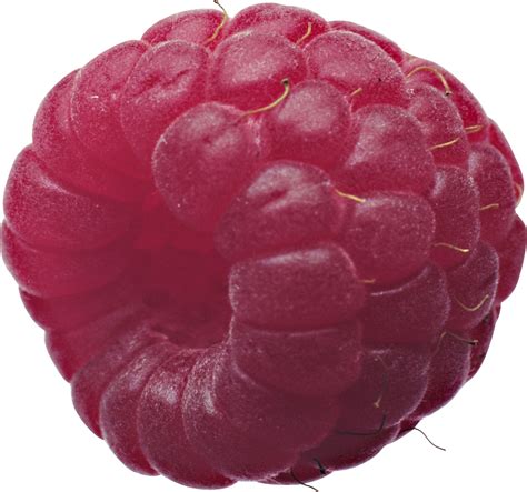 Rasberry PNG Image - PurePNG | Free transparent CC0 PNG Image Library