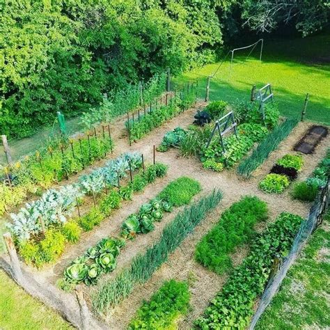 100 Top Idées Pour Faire Un Jardin Potager Design De Jardin Potager