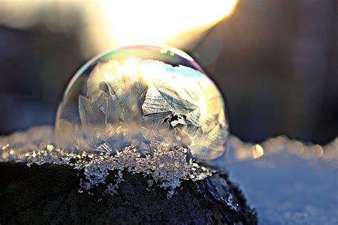 Hd Wallpaper Frost Bubble Frozen Bubble Soap Bubble Winter Ice