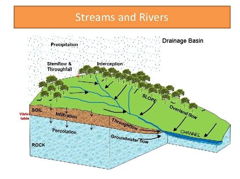 Chapter 1 Lesson 2 Streams And Rivers Lakes