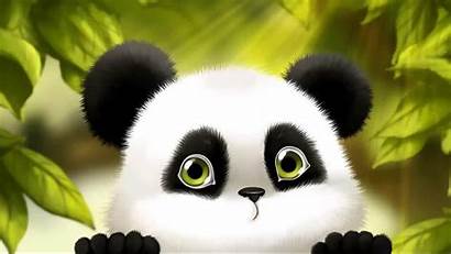 Panda Wallpapers Cartoon Background