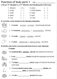 Grade 1language artslistening & learning. Worksheets and Handouts for First Grade Unit 6 (Charts of ...
