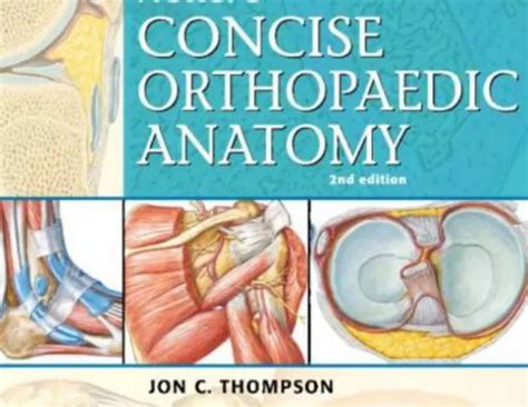 Netters Concise Orthopaedic Anatomy 2nd Edition Pdf Free Download