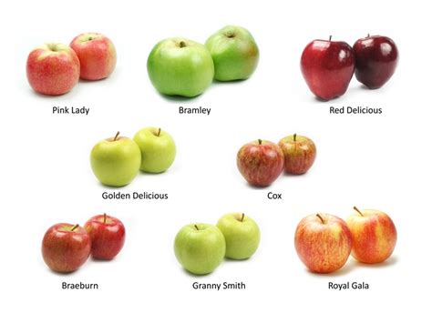 Apple Fruit Varieties