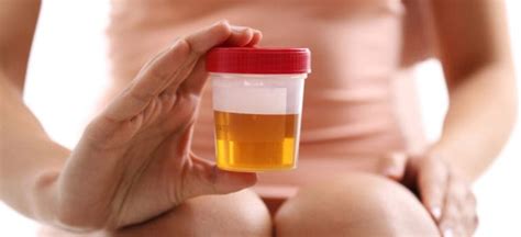 Pee What Your Urine Color Means For Your Health Dr Axe
