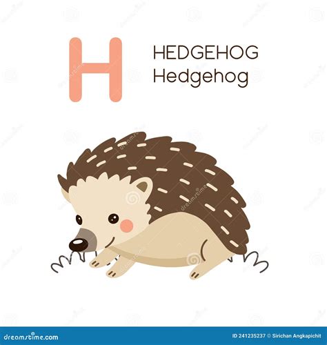 English Alphabet Letter H And Hedgehog Cartoon Stock Vector