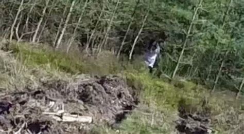 Drone Captures Creepy Girl In Woods Freaking Everyone Out