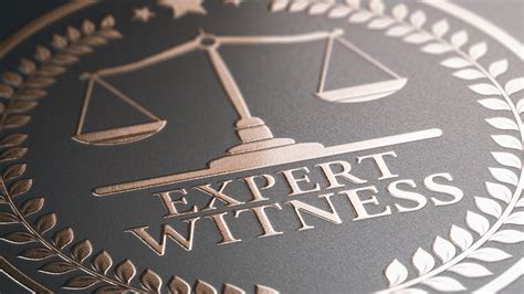 Legal Expert Witness Code Consultants Inc