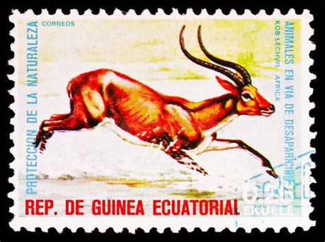 Postage Stamp Printed In Equatorial Guinea Shows Lechwe Kobus Leche