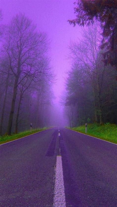 Purple Fog Road Woods Natural Scenery Purple Love All Things Purple