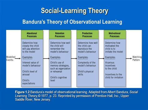 Banduras Theory Of Observational Learning Under Social Learning Theory