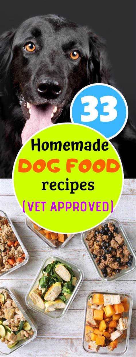 Vet Approved Homemade Dog Foodsrzphp Bernard Franklin Gossip