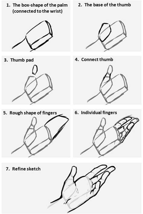 Comment Dessiner Les Mains Hand Drawing Reference Art