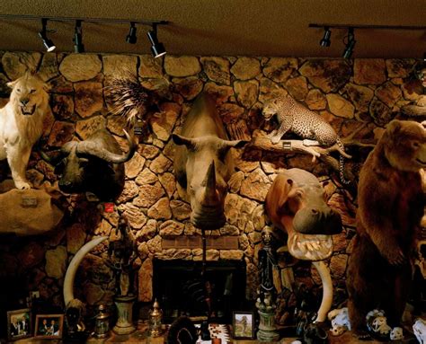 Inside The Trophy Rooms Of Texas S Biggest Big Game Hunters