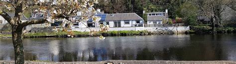 To rent one of these coastal holiday cottages in dumfries you will need to book securely online with the property manager or send an email enquiry to the owner direct. Holiday Cottage Dumfries and Galloway > Self Catering ...