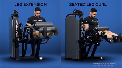 Seated Leg Curl Extension Combo Youtube