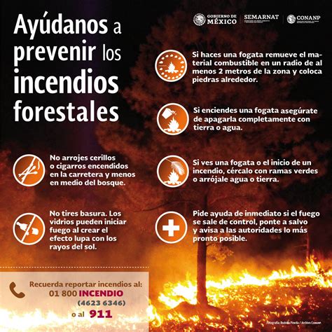 El Fenómeno El Niño Y Los Incendios Forestales Comisión Nacional De