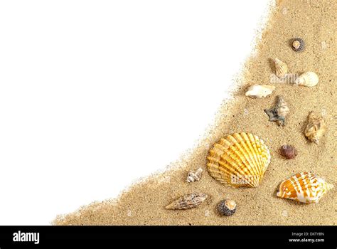 Beach Sand And Shells Border On White Stock Photo Alamy
