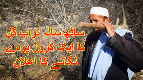 60 Years Old Nawab Gul Wants To Plant One Chore Sapling Kurram