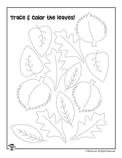 Trace And Color The Autumn Leaves Woo Jr Kids Activities Children