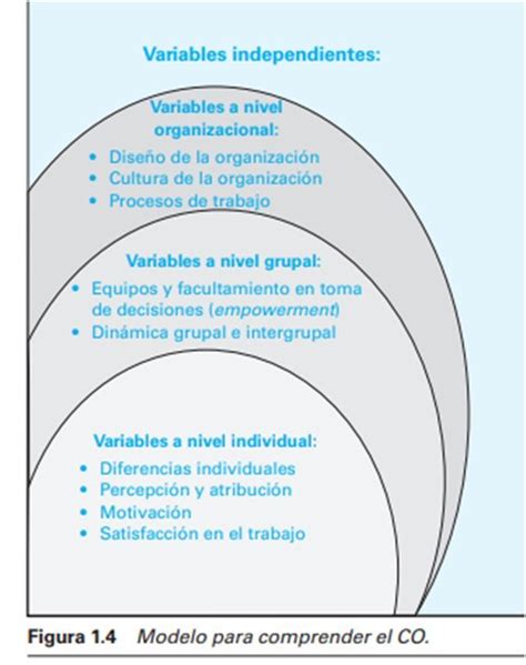 Variables De Los Niveles De Comportamiento Organizacional Comportamiento Organizacional