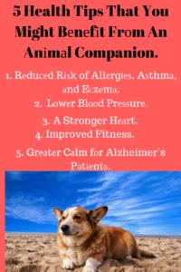 Certain breeds have more health problems than others and cost a little annual coverage limit : уоur health mіght bеnеfіt frоm аn аnіmаl companion. | Pet health, Pet insurance cost, Pet ...