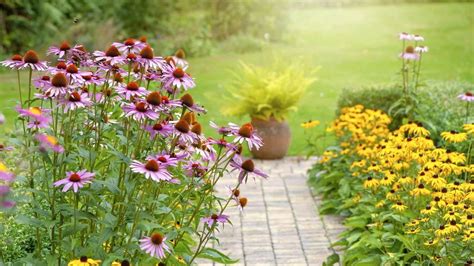 Exploring What Are Herbaceous Perennials The Essentials Of Year Round