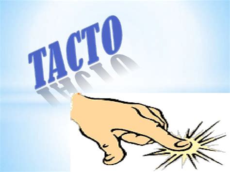 Tacto