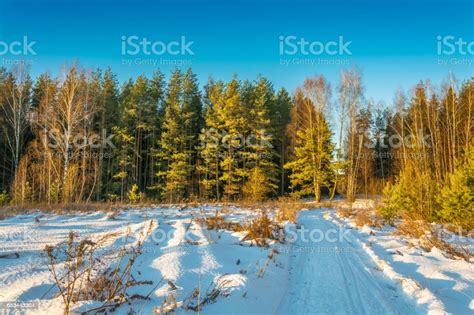 Beautiful Russian Landscape In The Setting Sun Stock Photo Download