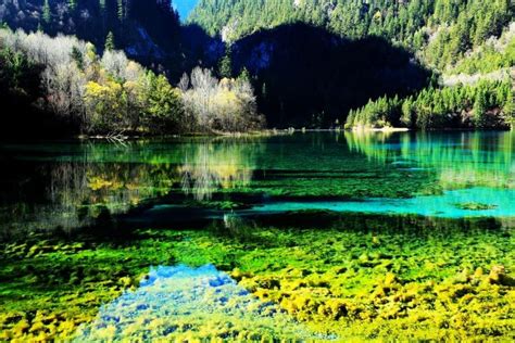 The 5 Color Pond At Jiuzhaigou Valley National Park China Eau