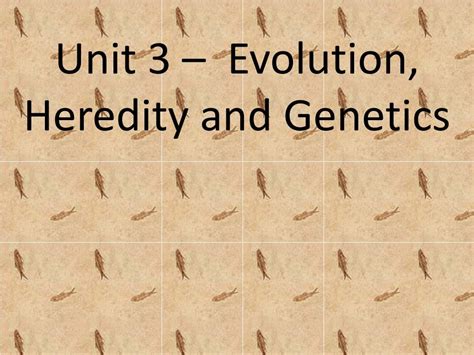 Brainpop Heredity Worksheet Answer Key Genetics Brainpop Uk Youtube