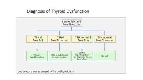 Thyroid Lab Tests Types And Controversies