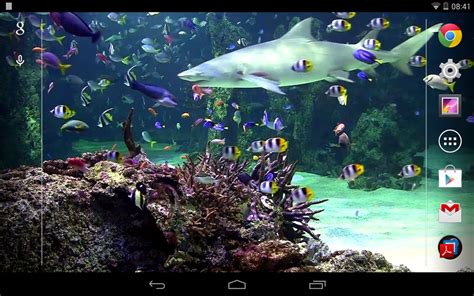 Aquarium Live Wallpaper Free Android Live Wallpaper