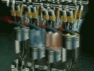 There is an animation to the right (figure 1) of a. Four GIF - Find & Share on GIPHY