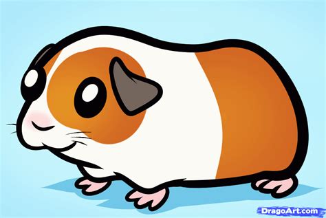236x236 happy piggy animal, piglets and babies. Baby guinea pig clipart 20 free Cliparts | Download images on Clipground 2020