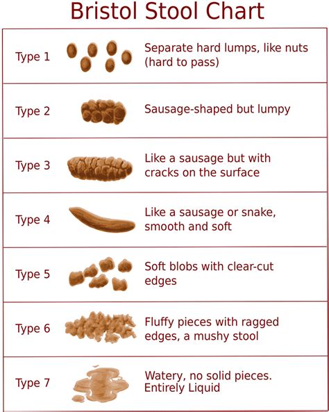 Toddler Poop Color Chart Photos What Helps Babies Poop Examples And