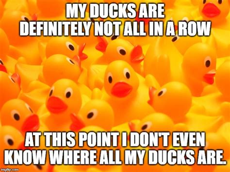 No Ducks In A Row Meme