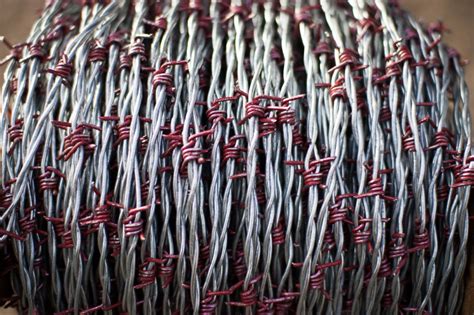 Barbed Wire Red Brand Mild Steel And High Tensile Barbed Wire Barbed