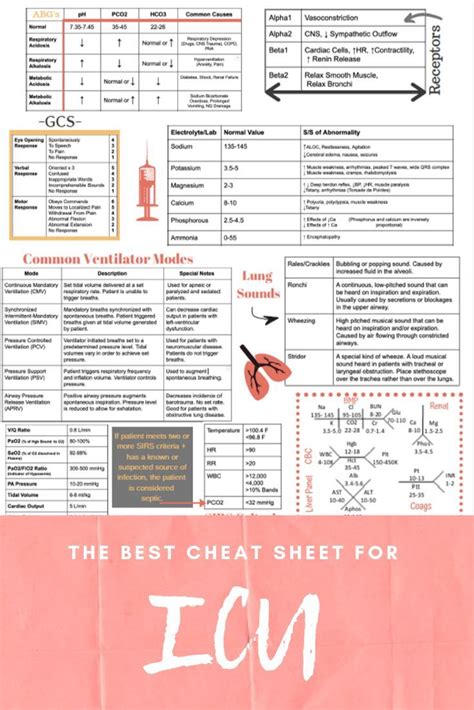 Icu Cheat Sheet Printed Laminated Icu Nursing