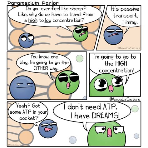 Paramecium Parlor Comics Biology Humor Biology Jokes Science Jokes